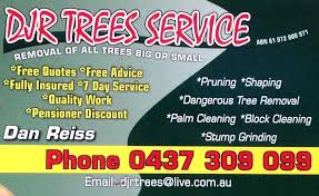 Check spelling or type a new query. 25 45 Hrtree Removal Services In Caboolture Qld 4510