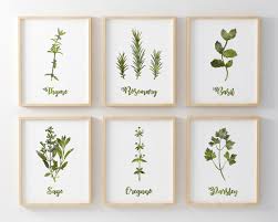 Herbs Prints Set Kitchen Decor Watercolor Herbs Aromatic Herbs Wall Art Printable Set Of 6 Instant Download Herb Prints Printable Art Set Watercolor Herbs