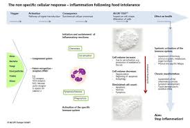 Inflammatory Symptoms Immune System And Food Intolerance