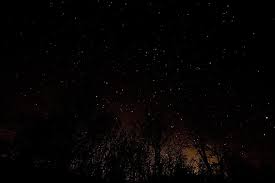 Call it an unfortunate side effect of urban life or a necessary casualty of industrialization. Nature Black Dark Night Sky Stars Trees Silhouette Pikist