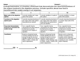 ecology digestive summative task and rubric