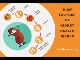 Pin On Kidneydisease