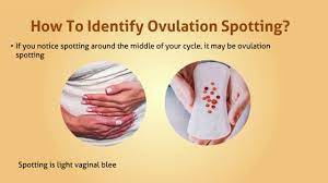Obstetrics and gynecology 42 years experience. What Is Ovulation Bleeding Dr Sumita Sofat Youtube