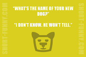 23+ hilarious funny clean jokes that are beyond funny! Hilarious Clean Jokes Short Funny Com