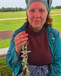 Our Munch and Learn community explored cultivated garden plants and others  who chose to make a home in the garden to discover allies for what is  impacting our physical and emotional well-being.