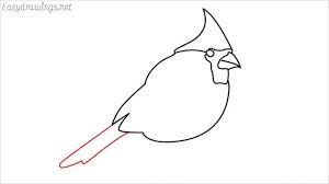 How to draw a cardinal for kids. How To Draw A Cardinal Bird Step By Step 11 Easy Phase Video Artofit