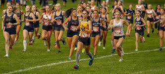 Cross Country: Huron boys & girls run it up at NB Huron Invite (WLAA photo  gallery