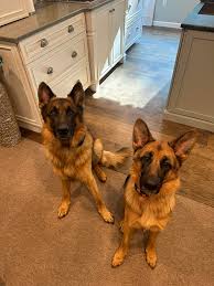 Beverly Barry (@blaircabinet) • Instagram photos and videos