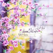 path to islam good morning images flowers islamic pictures good morning arabic