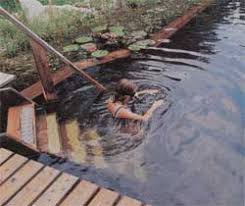 However, it is going to take some. How To Build A Natural Swimming Pool Mother Earth News
