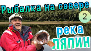 как быстро почистить окуня от чешуи в домашних условиях Kak Bystro Pochistit Okunya Youtube