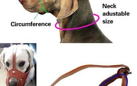 Details About Soft Genuine Leather Dog Muzzle No Bite For Pitull Boxer Amstaff Staffordshire Dog Muzzle Genuine Leather Leather