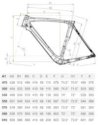 Oltre Xr3 Disc Ultegra Di2