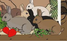 This belief is held by individuals in a great number of places around the world, including europe, china, africa, and north and south america. What Are Rabbits Answered Twinkl Teaching Wiki