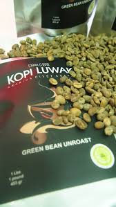 Authentic Pure Kopi Luwak Java Arabica Civet Coffee Green Bean Unroast 1 Lbs Pound 450 Gr Buy Direct From Farmer Halal Recipes Green Beans Beans