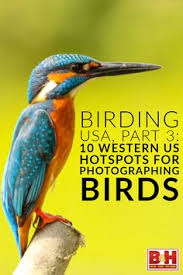 Birds Of Western New York State Birding Usa Part 3 10 Western Hotspots For Photographing Birds Bird Birding Trips Bird Photography