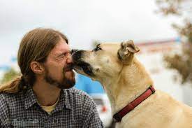 We did not find results for: Paws Pet Resorts Stay N Play