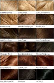 36 Best Hair Color Change Images In 2019 Hair Hair Color