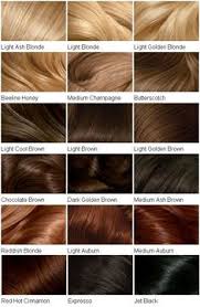 36 best hair color change images in 2019 hair hair color