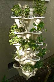 You can grow all types of peppers and chilis including bell peppers. Hydroponic Tower Choose The Best Get Started With Ease