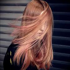 Use the colour wheel to get perfect hair colours. Peach Blonde Peach Blond Trendy Hair Color