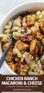 Wow Chicken Ranch Macaroni And Cheese I Am Homesteader Recipe Noodle Recipes Easy Recipes With Elbow Noodles Pasta Dishes