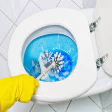 Check spelling or type a new query. Dirty Toilet Bowl Cleaning Tips Merry Maids