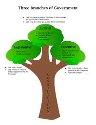 anchor chart three branches of government