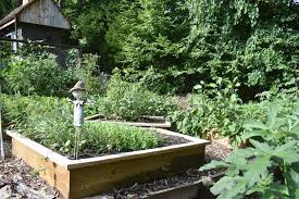 Whether you're traveling with friends, family, or even pets, stayz holiday homes have the best amenities for hanging out with the. Raleigh Garden Tips 8 Things To Do In Your Yard In April Walter Magazine