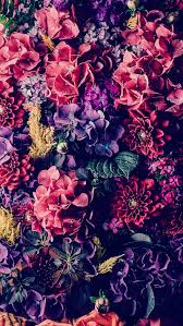 Choose from hundreds of free nature wallpapers. Colorful Flowers Flowers Nature Hd Mobile Wallpaper Peakpx