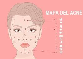 Granos En La Cara Dime Donde Y Te Dire Que Organo Te Falla Bioguia