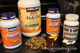How to make the best homemade cat food (including raw diet and cooked recipes!) let's face it. Raw Cat Food How To Make Raw Cat Food Savvy Pet Care