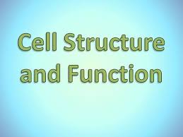 This point of view usually includes the classification of viruses. Lesson Overview 7 1 Life Is Cellular Ppt Video Online Download