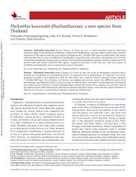 Image result for Phyllanthus hutchinsonianus