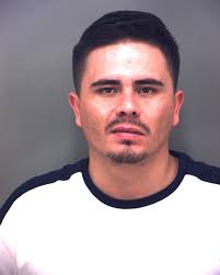 DECEPTIVE BUSINESS PRACTICES AND THEFT ARREST