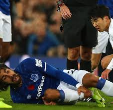 Everton fc is now getting down to brass tacks and imitating the arena of the bvb. Fc Everton Welt