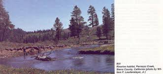 Communities of organisms that are dependent on each other and on their environment live in aquatic ecosystems. Wildlife Habitats California Wildlife Habitat Relationships System