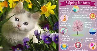 Celebrate a special occasion by sending a spring floral arrangement that also commemorates the season. 8 Facts About Spring Paraligo Com