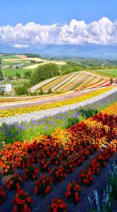 Hokkaido Japan Places To Visit Beautiful Places Photography Aesthetic Photography Nature