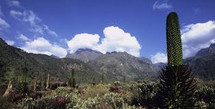 The equatorial glaciers are sources for the nile river. Rwenzori Mountains National Park Uganda Journeys By Design