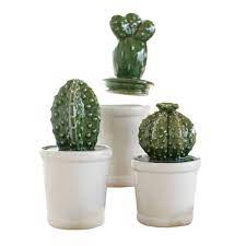 Target/household essentials/ceramic canisters set (59)‎. Ceramic Cactus Canisters Set Of 3 Cactus Ceramics Canister Sets