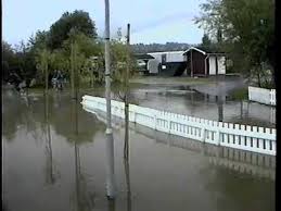 But i've always thought that my work should be seen on printed paper. Oversvamning 1993 Youtube