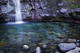 Kapena is a small waterfall right in honolulu. Oahu Waterfall Hike Excursion Lunch Trans Included