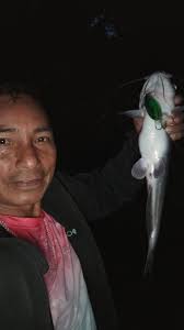 Great morning 7 bass and one catfish