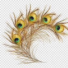 The Floating Feather Peafowl Peacock Transparent Background Png Clipart Feather Illustration Peacock Artwork Feather Background