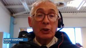 Geoff Edmond speaks about worrying videos of teens killing wildlife