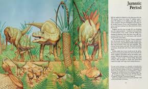 Image result for Stolzia williamsonii