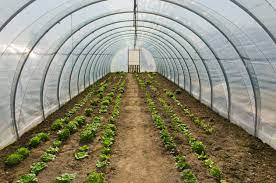 It is constructed using lumber for the baseboards and pvc pipe for the hoops. Hoop House Plans Free The Best You Ll Find On The Internet