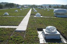 Maybe you would like to learn more about one of these? Autumn Contracting Inc Aci