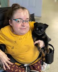 What are some suggestions for professional and reasonable outdoor window  cleaners?